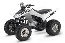 New 2017 HONDA TRX250X WHITE Maybe specialization is fine if you’re talking about insects. But in the world of a great all-around sport ATV, versatility is the key to having a good time. You want a machine that can fit a wide range of riders, abilities and terrains. And that ATV is the Honda TRX250X.